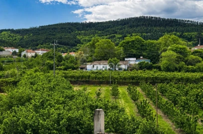 Quinta T10 para Venda em Alcaide