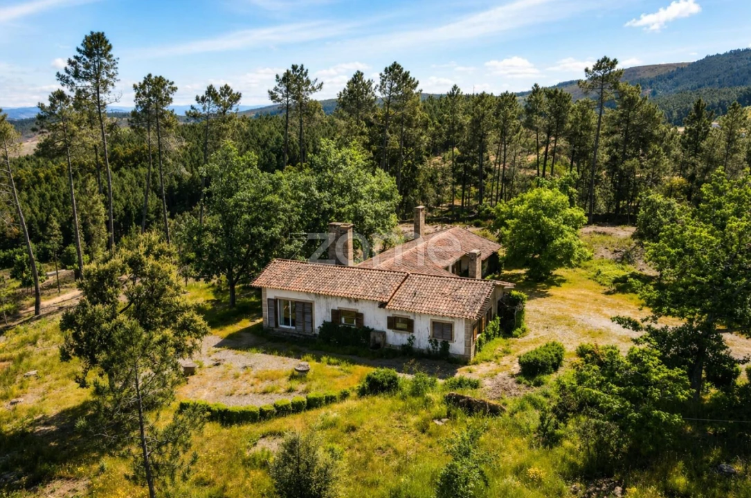 Quinta T10 para Venda em Alcaide Foto 53