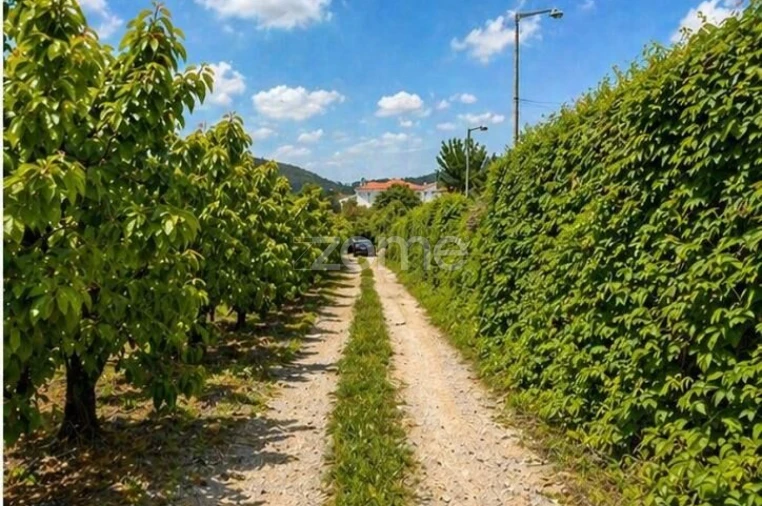 Quinta T10 para Venda em Alcaide Foto 4