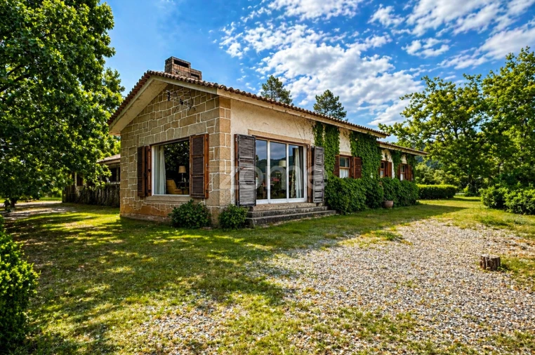 Quinta T10 para Venda em Alcaide Foto 6