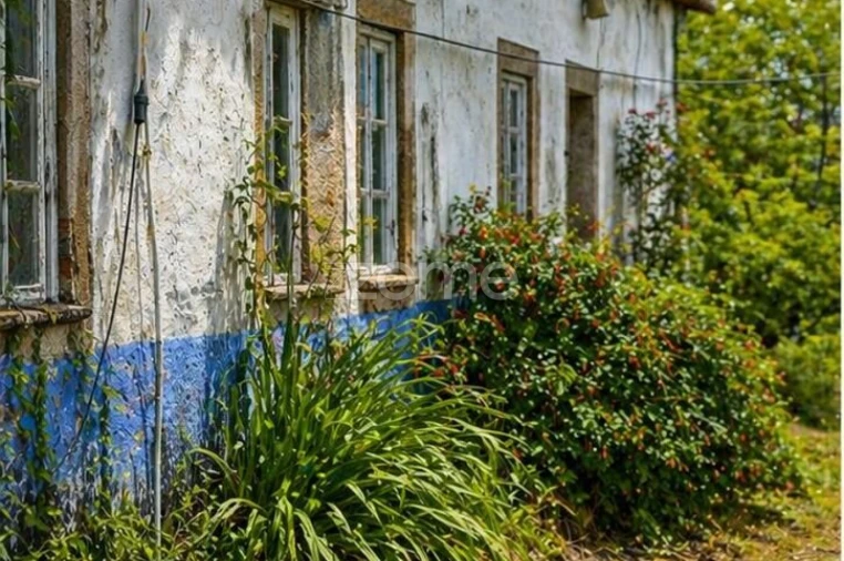 Quinta T10 para Venda em Alcaide Foto 45