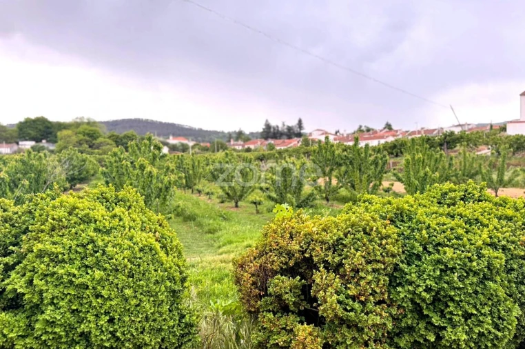 Quinta T10 para Venda em Alcaide Foto 46