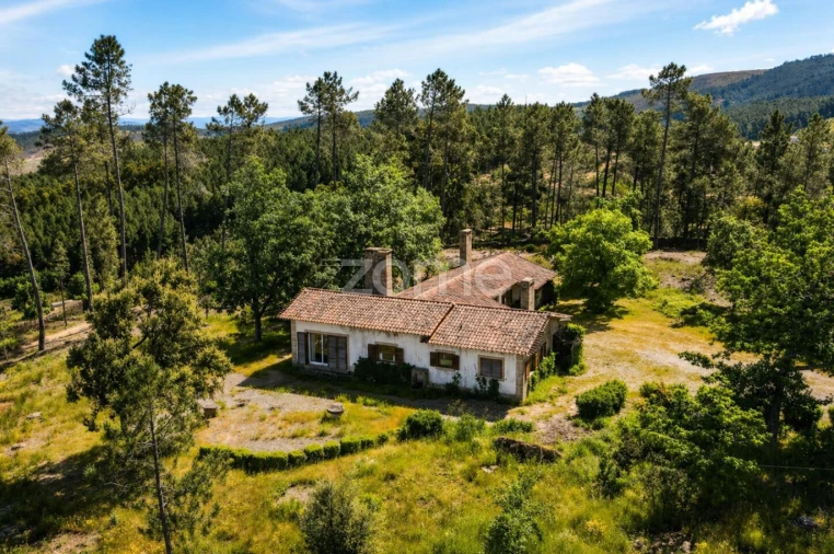 Quinta T10 para Venda em Alcaide Foto 53