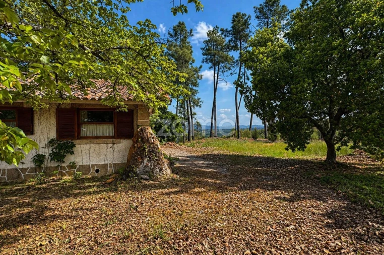 Quinta T10 para Venda em Alcaide Foto 9