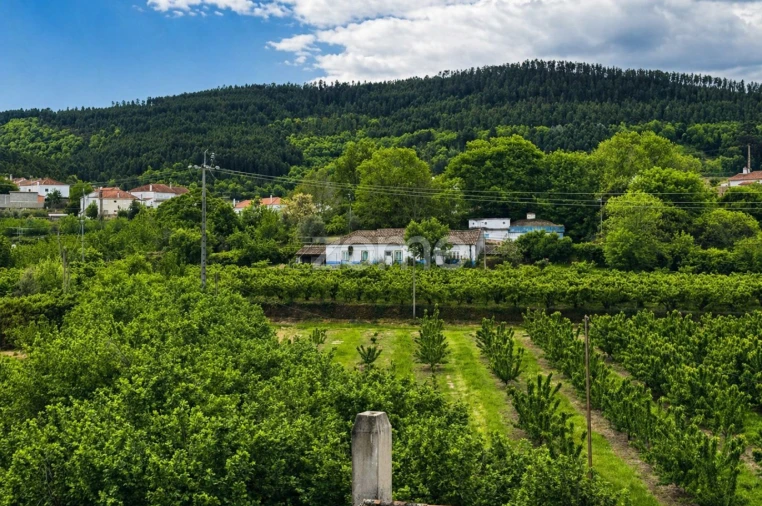 Quinta T10 para Venda em Alcaide Foto 10