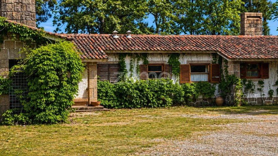 Quinta T10 para Venda em Alcaide