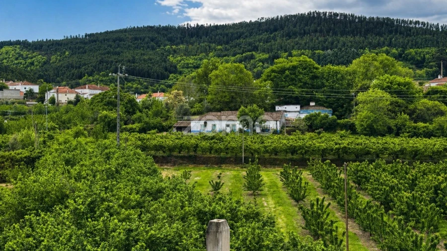 Quinta T10 para Venda em Alcaide