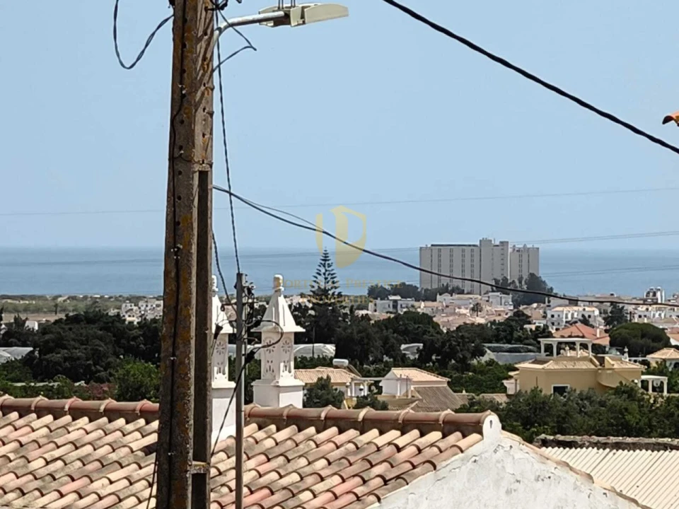 Prédio para Venda em Altura Foto 8