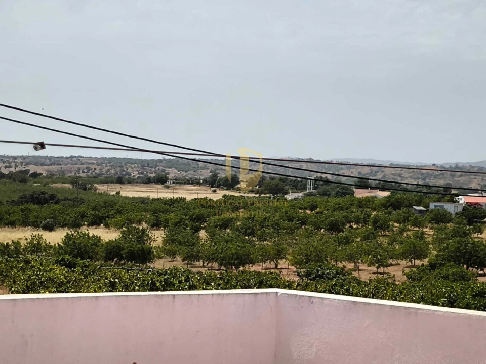 Prédio para Venda em Altura Foto 11