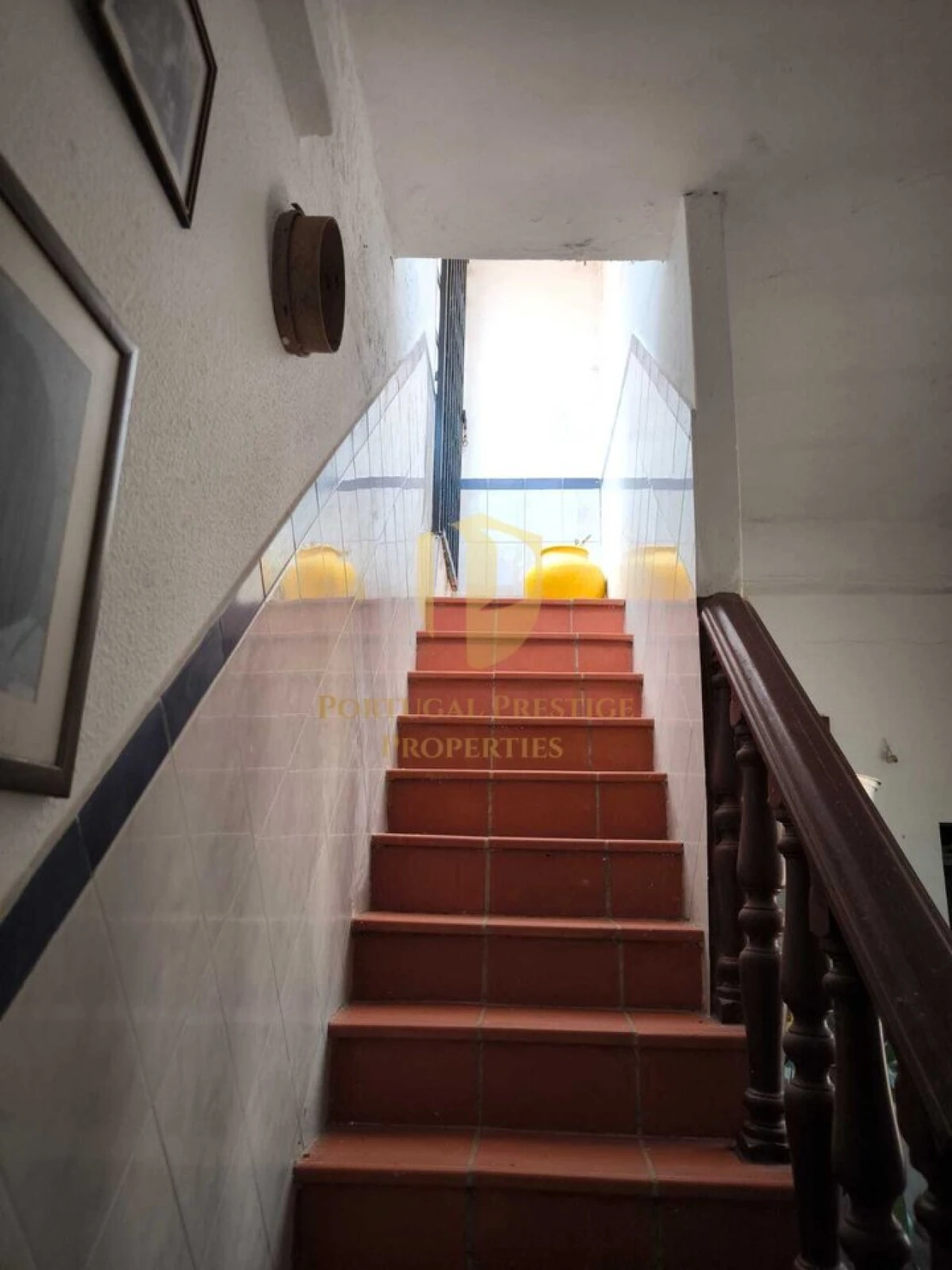 Prédio para Venda em Altura Foto 22