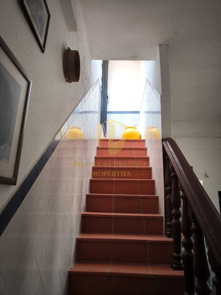 Prédio para Venda em Altura Foto 22