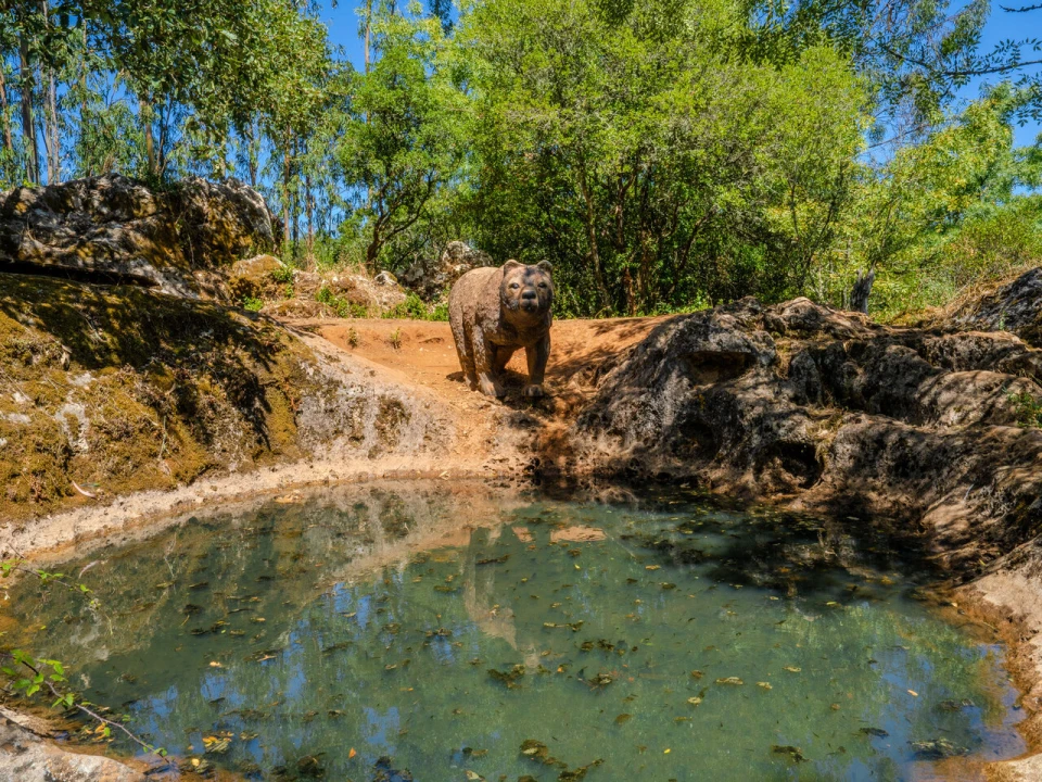 Moradia T2 para Venda em São Mamede Foto 16