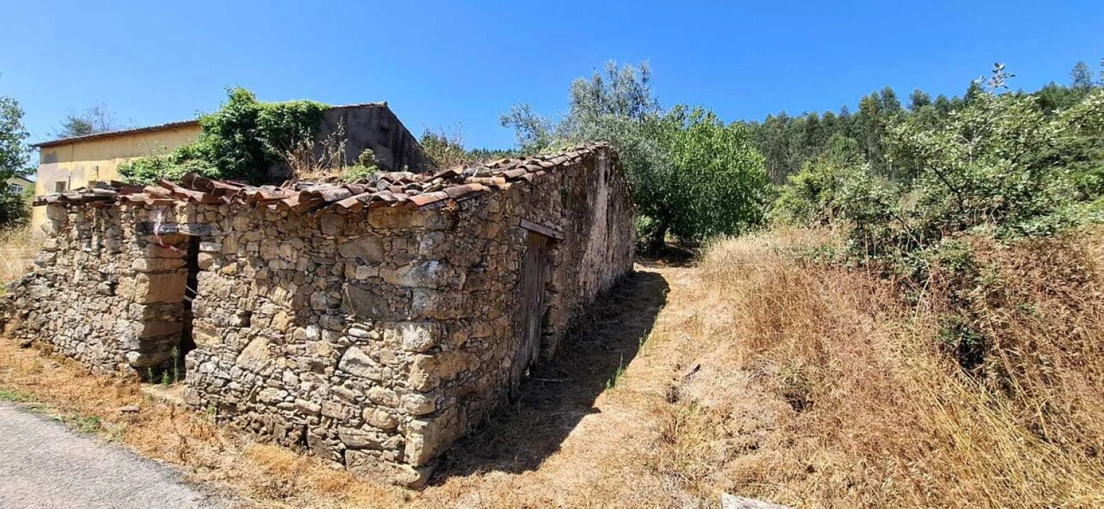 Terreno para Venda em Areias e Pias Foto 1