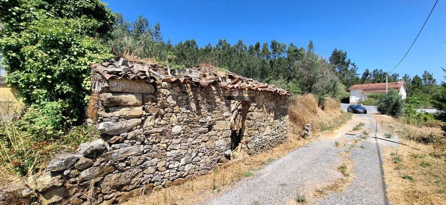 Terreno para Venda em Areias e Pias Foto 2
