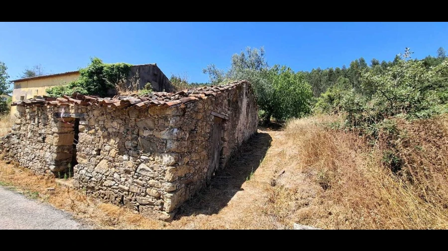 Terreno para Venda em Areias e Pias