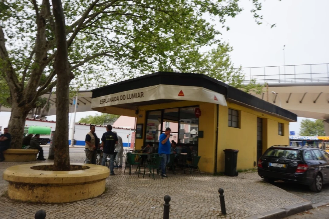 Loja para Venda em Lumiar Foto 20