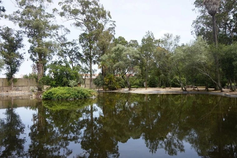 Loja para Venda em Lumiar Foto 10