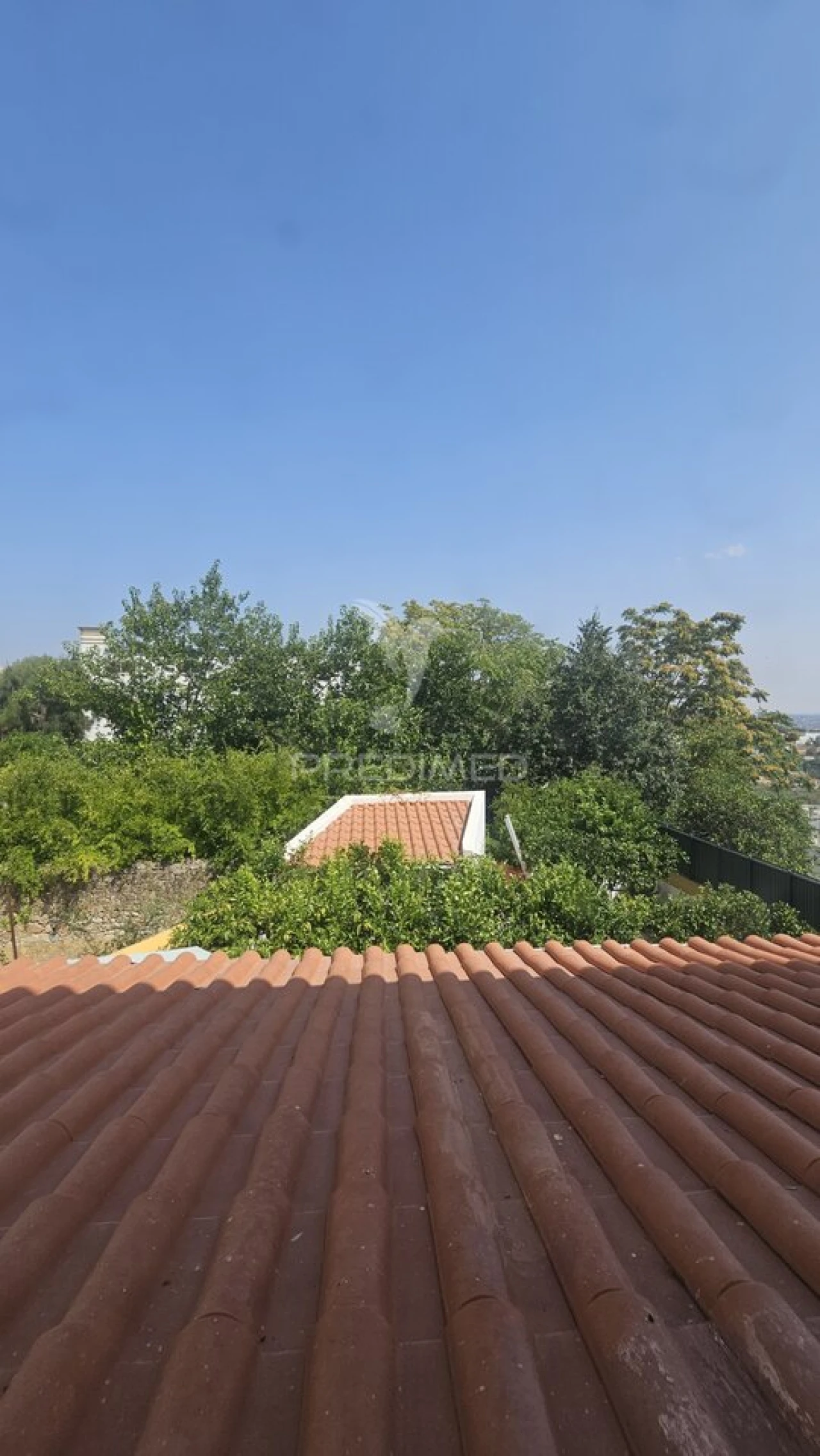 Moradia T3 para Venda em Sé e São Lourenço Foto 38