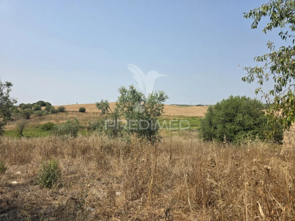 Moradia T2 para Venda em Casével e Vaqueiros Foto 17