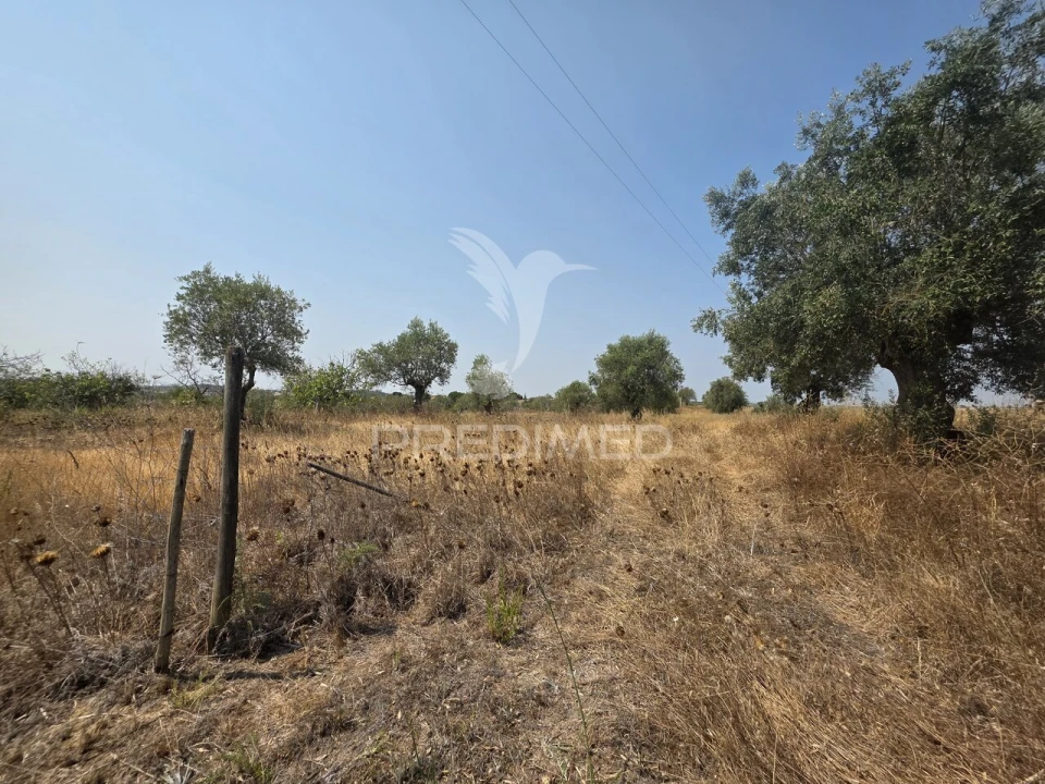 Moradia T2 para Venda em Casével e Vaqueiros Foto 9
