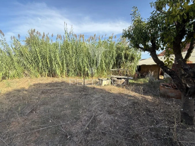 Moradia T2 para Venda em Arneiro das Milhariças Foto 29