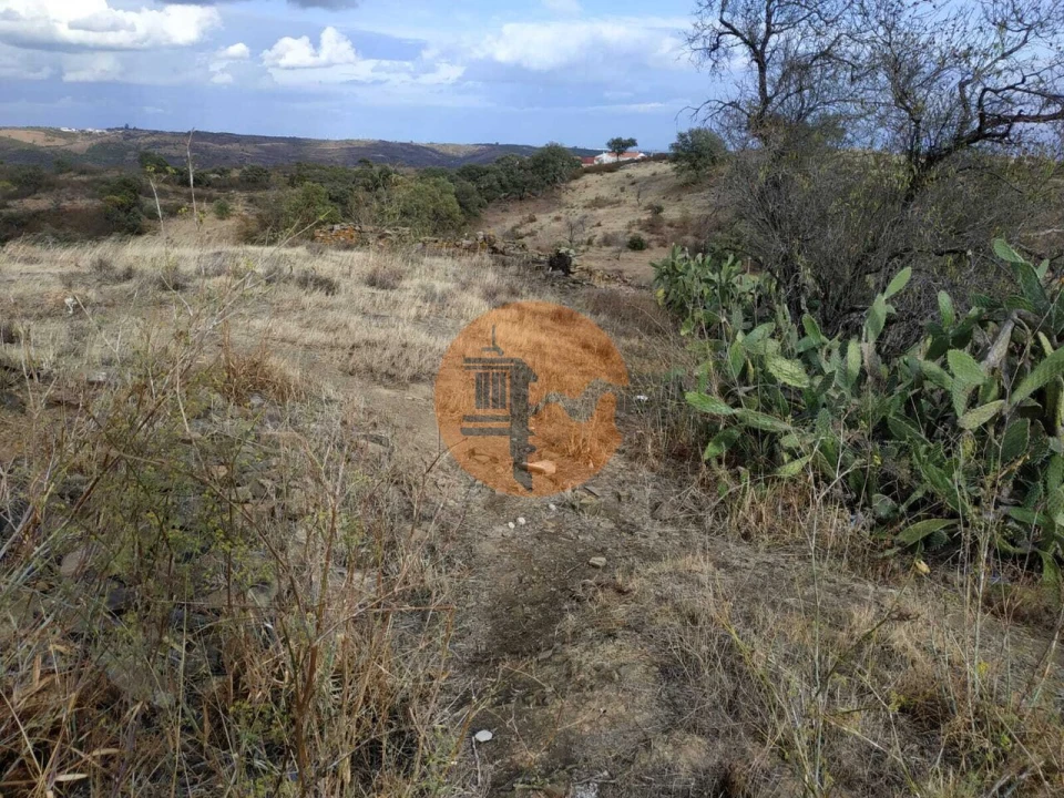Terreno para Venda em Azinhal Foto 18