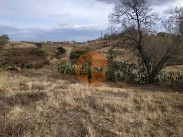 Terreno para Venda em Azinhal