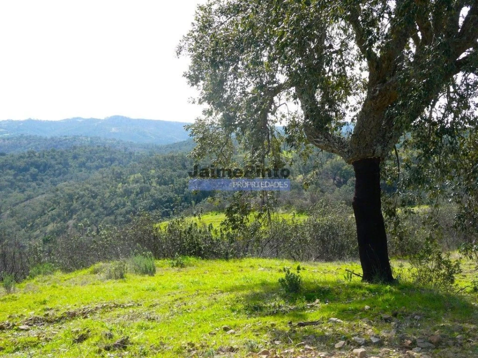 Terreno Agricola ou Rústico para Venda em Almodôvar e Graça dos Padrões Foto 1