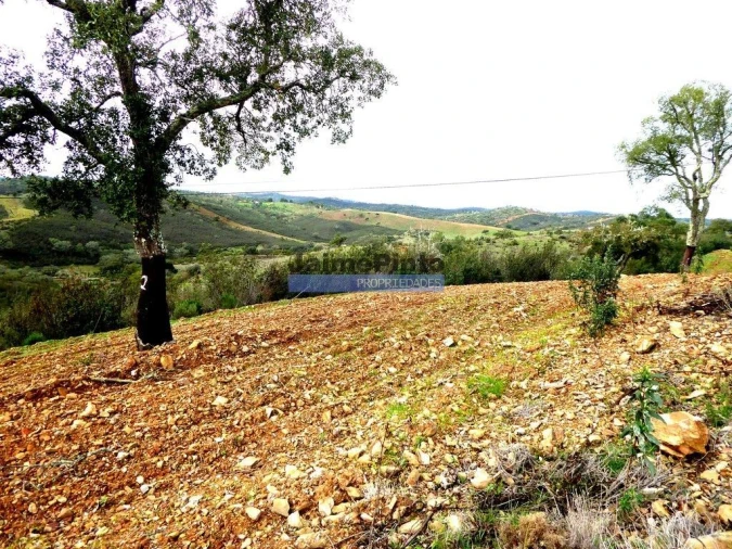 Terreno Agricola ou Rústico para Venda em Almodôvar e Graça dos Padrões Foto 5
