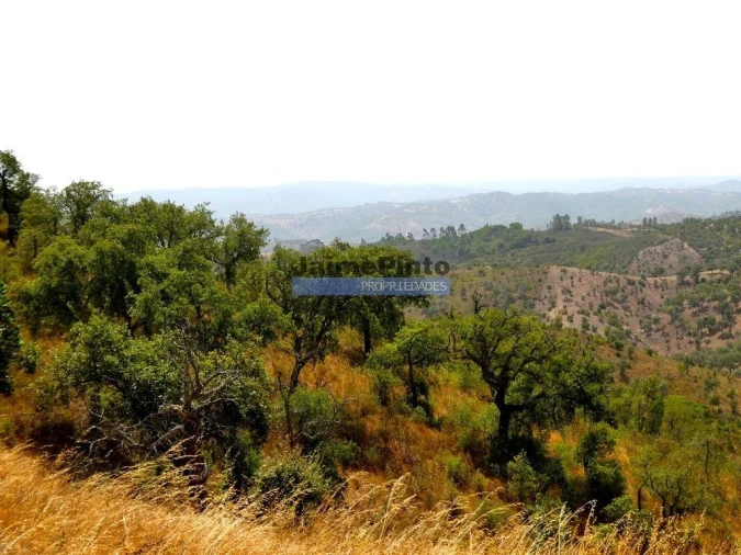 Terreno Agricola ou Rústico para Venda em Almodôvar e Graça dos Padrões Foto 6