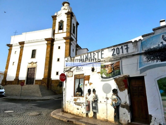 Terreno Agricola ou Rústico para Venda em Almodôvar e Graça dos Padrões Foto 9