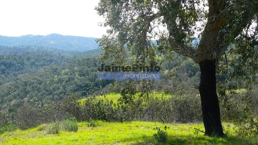Terreno Agricola ou Rústico para Venda em Almodôvar e Graça dos Padrões