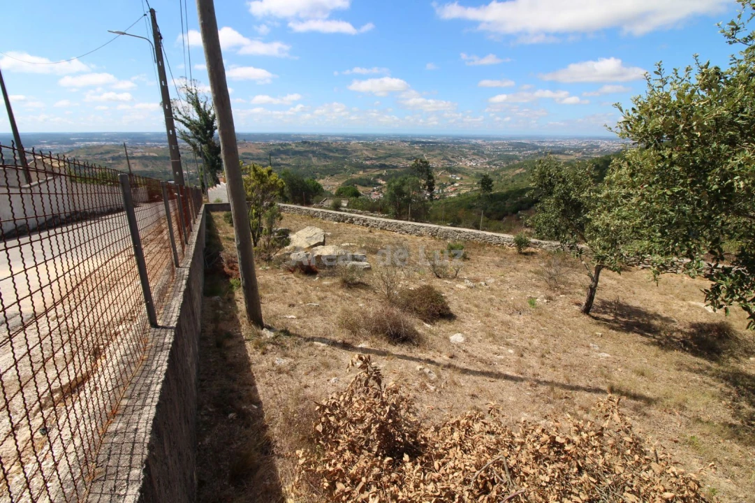Terreno Agricola ou Rústico para Venda em Reguengo do Fetal Foto 5