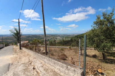 Terreno Agricola ou Rústico para Venda em Reguengo do Fetal