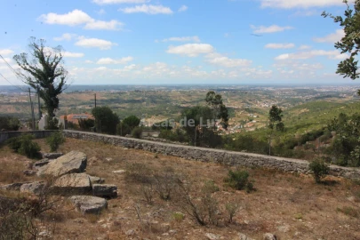 Terreno Agricola ou Rústico para Venda em Reguengo do Fetal