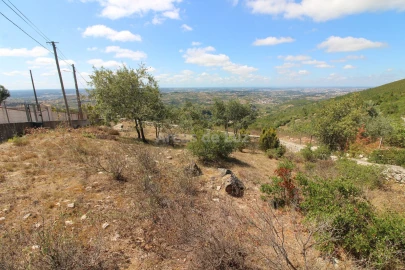 Terreno Agricola ou Rústico para Venda em Reguengo do Fetal