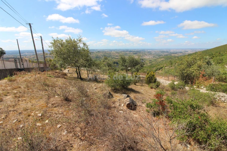 Terreno Agricola ou Rústico para Venda em Reguengo do Fetal Foto 12