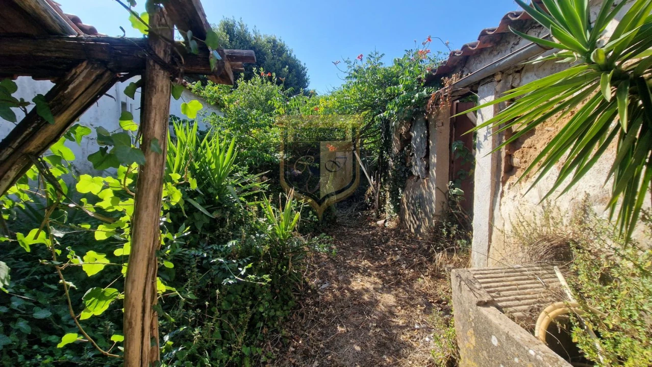 Moradia T2 para Venda em Vermelha Foto 14