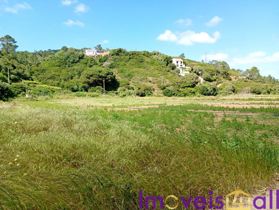 Terreno para Venda em São João das Lampas e Terrugem Foto 4