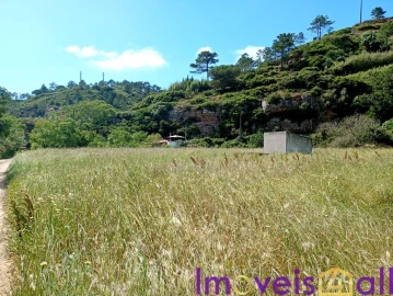 Terreno para Venda em São João das Lampas e Terrugem