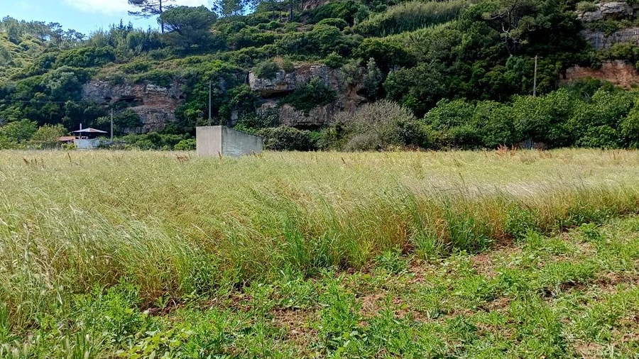 Terreno para Venda em São João das Lampas e Terrugem