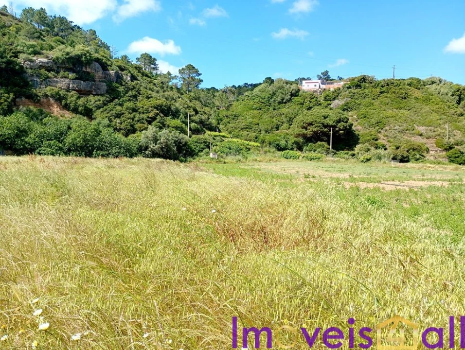 Terreno para Venda em São João das Lampas e Terrugem Foto 5