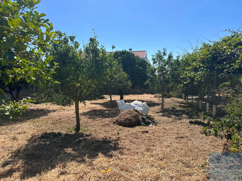 Terreno para Venda em São Domingos de Rana Foto 13