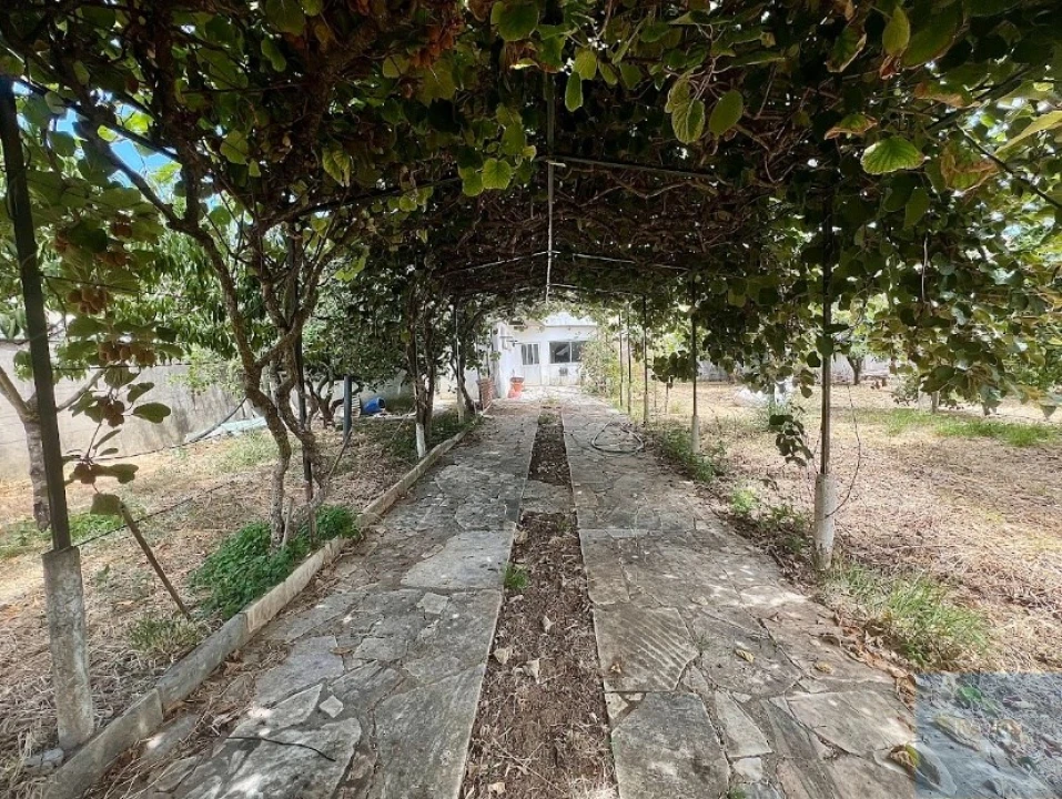 Terreno para Venda em São Domingos de Rana Foto 11