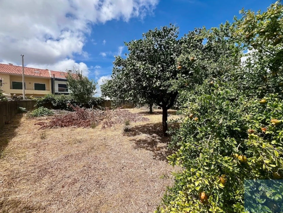 Terreno para Venda em São Domingos de Rana Foto 12