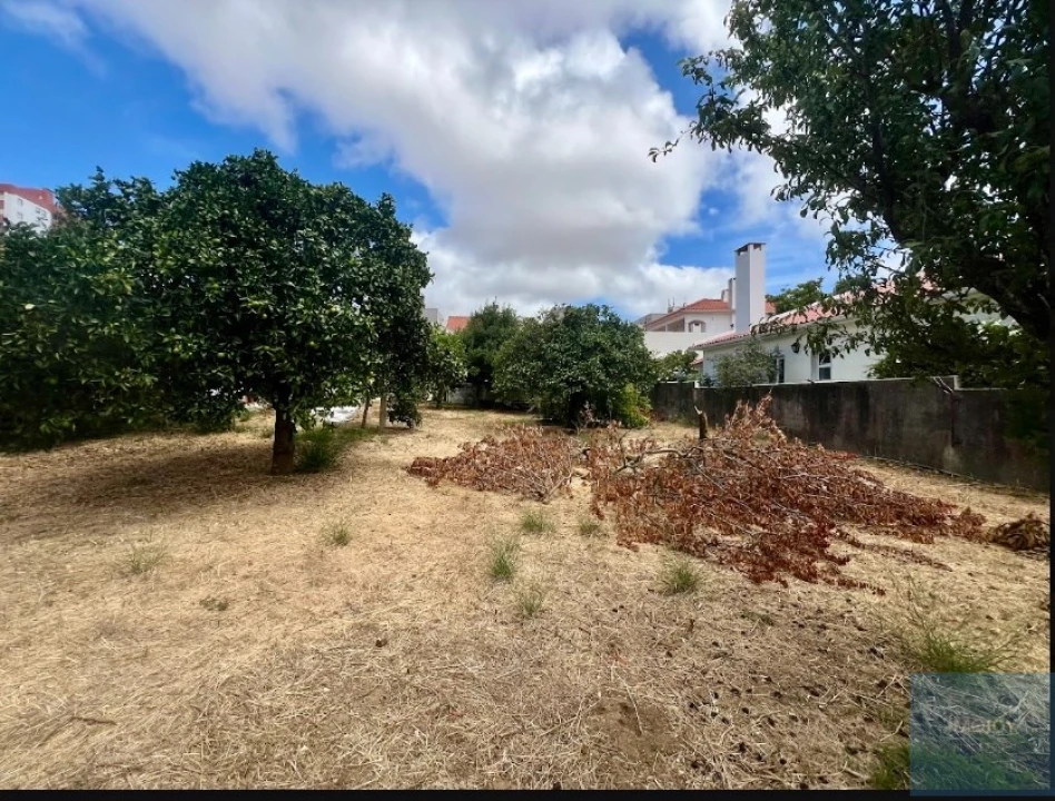 Terreno para Venda em São Domingos de Rana Foto 14
