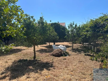 Terreno para Venda em São Domingos de Rana