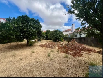 Terreno para Venda em São Domingos de Rana