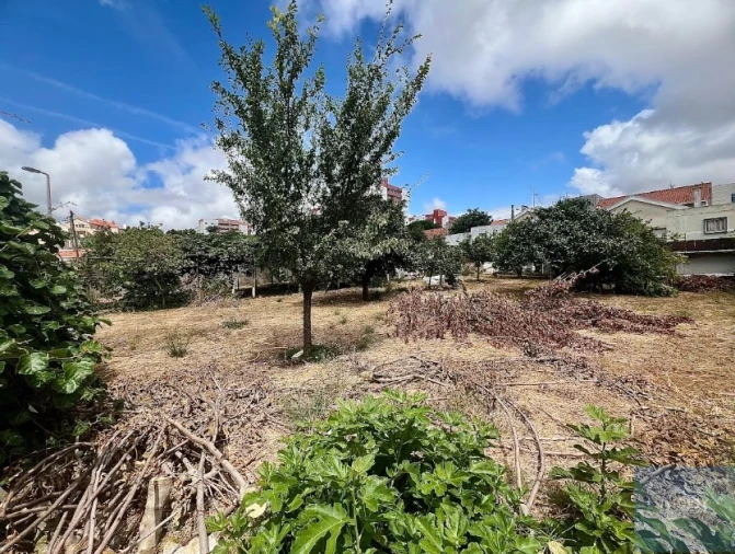 Terreno para Venda em São Domingos de Rana Foto 15