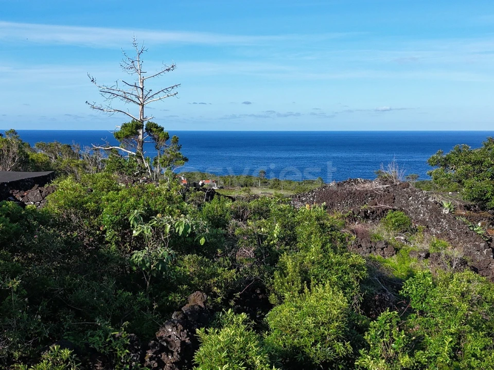 Terreno para Venda em São Mateus Foto 1